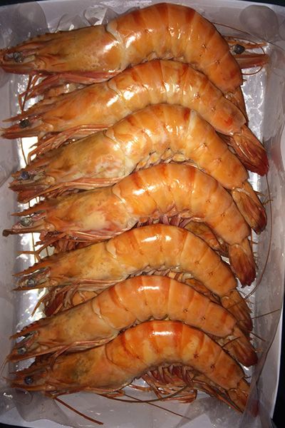 Cooked Head On Shell On (CHOSO) Vannamei Shrimp