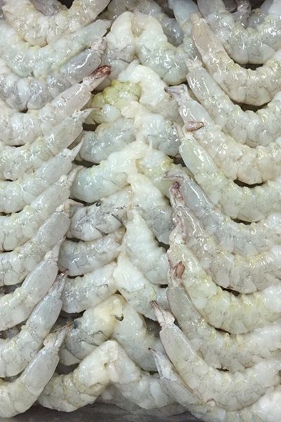Peeled & Deveined Tail Off (PD) White Shrimp
